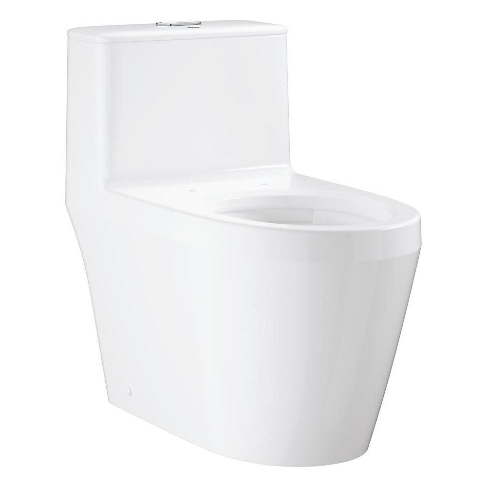 Floor standing one piece toilet without seat and cover