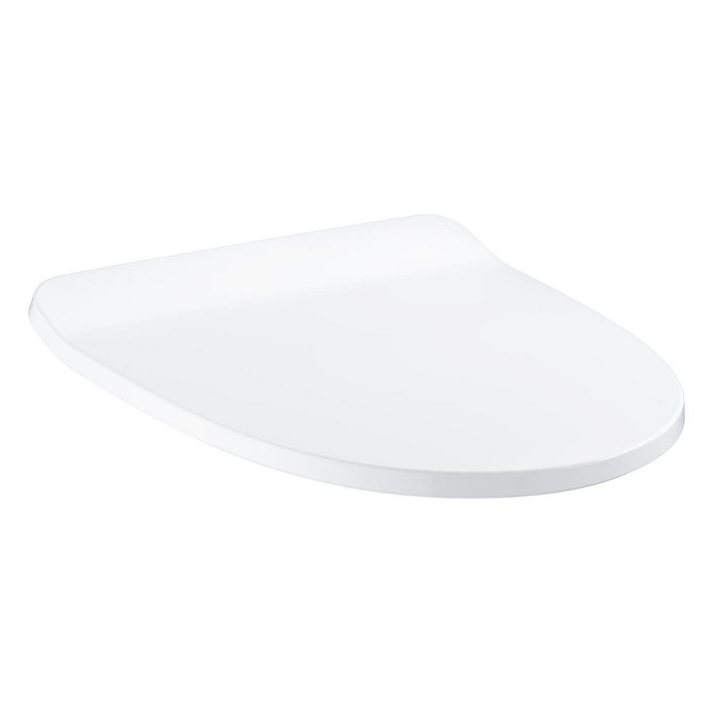 WC seat and lid