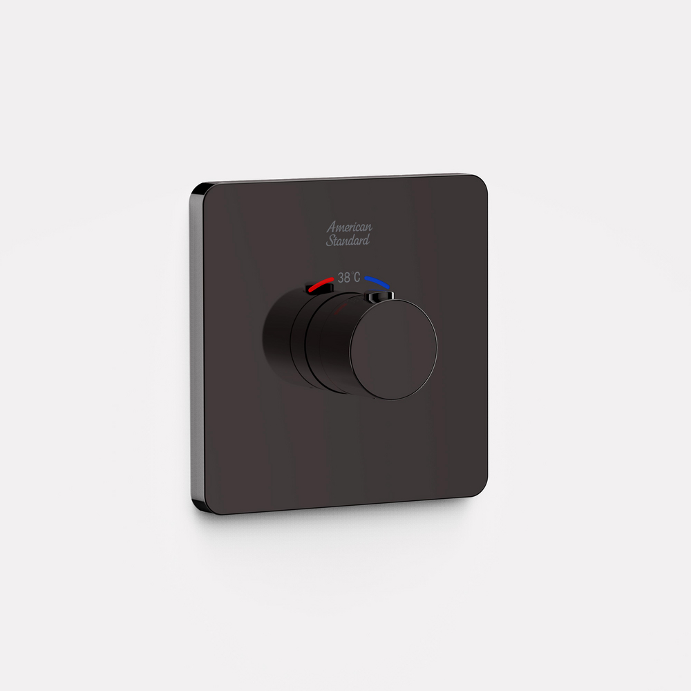 ConcealThermostatic Mixer with Trim Hard Graphite