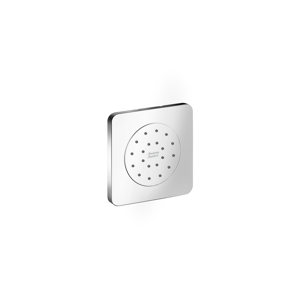 Body Shower With Concealed Body